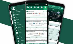 Comprehensive Guide to BetWinner Withdrawal Options -853615933
