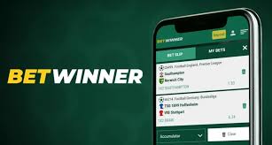Comprehensive Guide to BetWinner Withdrawal Options -853615933
